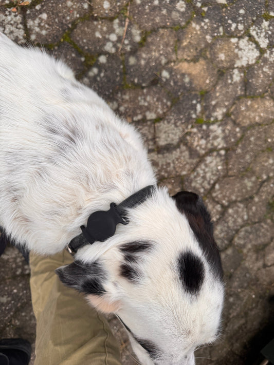 Kræver trackere abonnement?